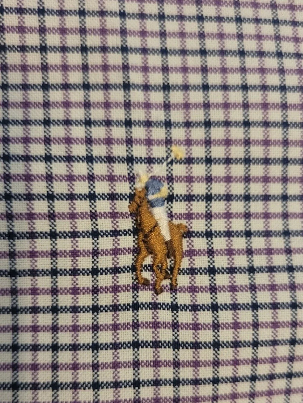 Polo by Ralph Lauren Purple and White Checked Button-Down Shirt
